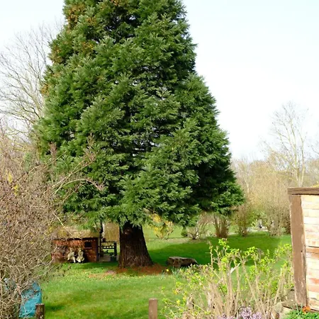 Appartamento Kunsthof Salsitz *